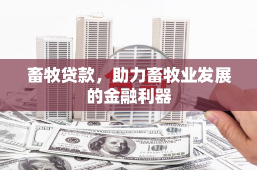 呼图壁畜牧贷款，助力畜牧业发展的金融利器