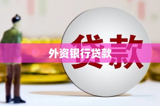 呼图壁外资银行贷款