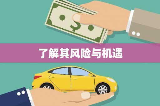 呼图壁了解其风险与机遇