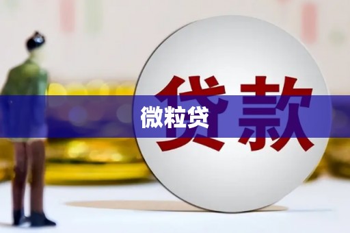 呼图壁微粒贷