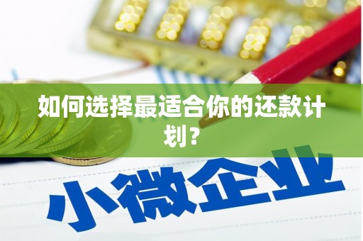 呼图壁如何选择最适合你的还款计划？
