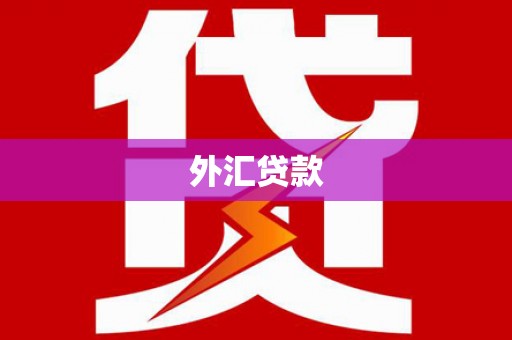 呼图壁外汇贷款