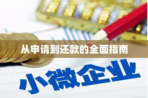 呼图壁从申请到还款的全面指南
