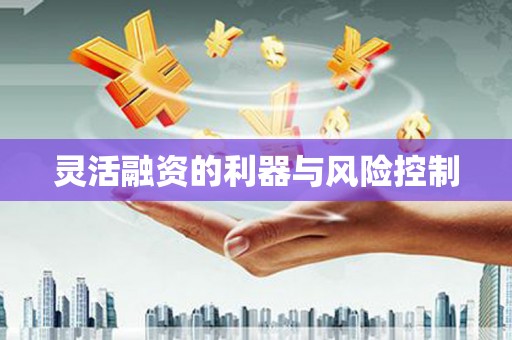 呼图壁灵活融资的利器与风险控制