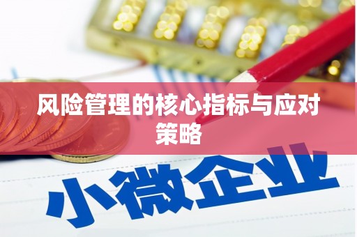 呼图壁风险管理的核心指标与应对策略