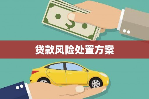 呼图壁贷款风险处置方案