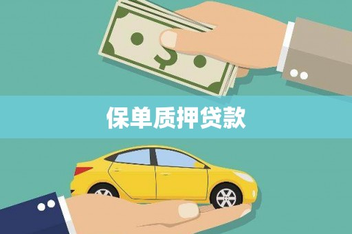 呼图壁保单质押贷款