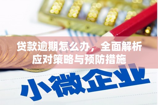 呼图壁贷款逾期怎么办，全面解析应对策略与预防措施