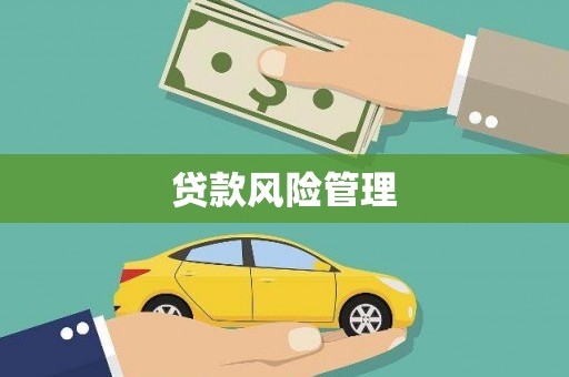 呼图壁贷款风险管理