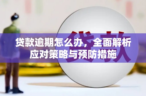 呼图壁贷款逾期怎么办，全面解析应对策略与预防措施