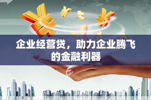 呼图壁企业经营贷，助力企业腾飞的金融利器