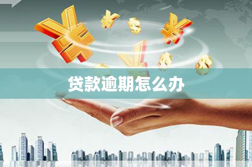 呼图壁贷款逾期怎么办