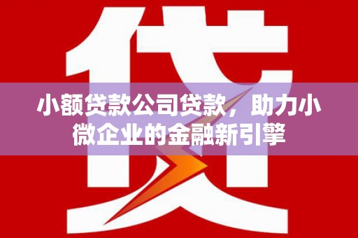 呼图壁小额贷款公司贷款，助力小微企业的金融新引擎