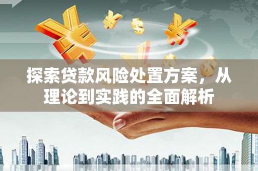 呼图壁探索贷款风险处置方案，从理论到实践的全面解析