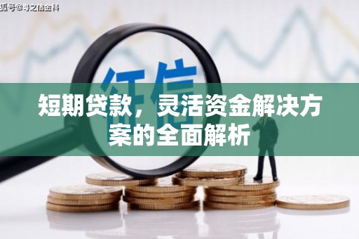 呼图壁短期贷款，灵活资金解决方案的全面解析