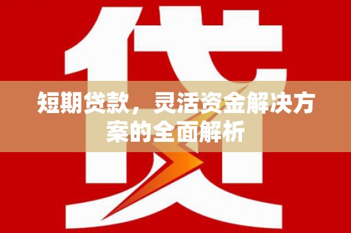 呼图壁短期贷款，灵活资金解决方案的全面解析