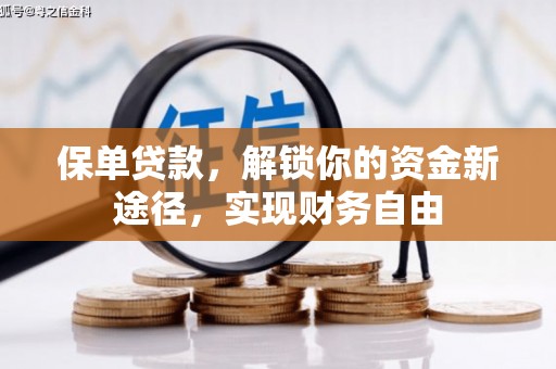呼图壁保单贷款，解锁你的资金新途径，实现财务自由