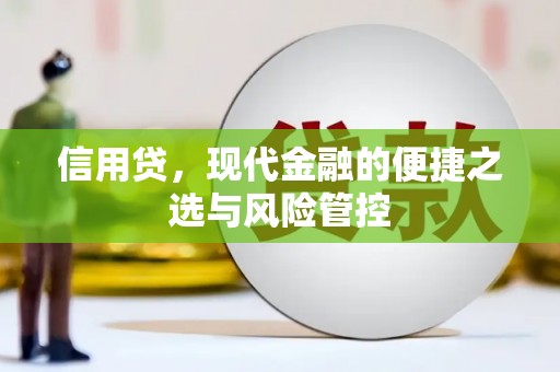 呼图壁信用贷，现代金融的便捷之选与风险管控