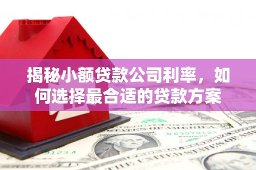 呼图壁揭秘小额贷款公司利率，如何选择最合适的贷款方案