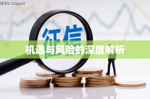 呼图壁机遇与风险的深度解析
