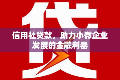 呼图壁信用社贷款，助力小微企业发展的金融利器