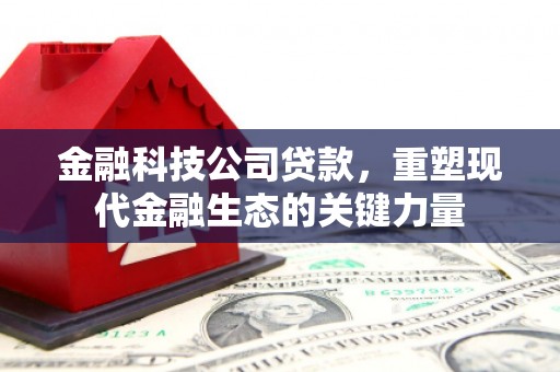 呼图壁金融科技公司贷款，重塑现代金融生态的关键力量