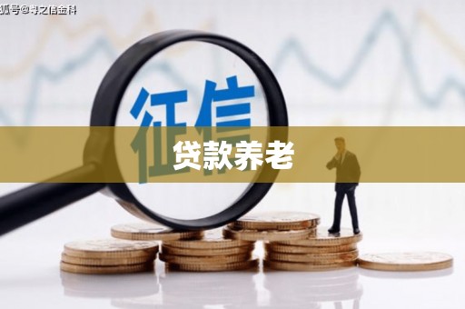 呼图壁贷款养老