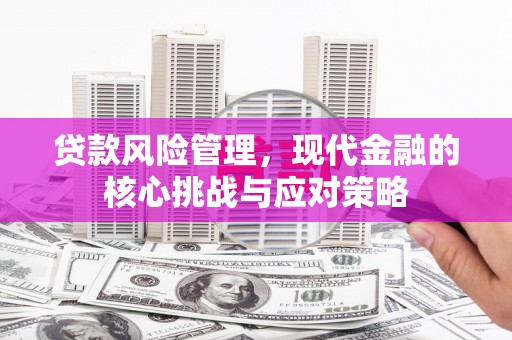 呼图壁贷款风险管理，现代金融的核心挑战与应对策略