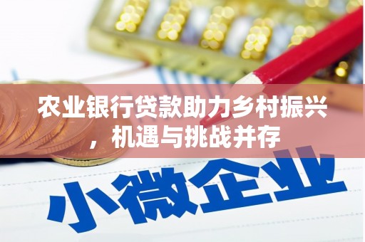 呼图壁农业银行贷款助力乡村振兴，机遇与挑战并存