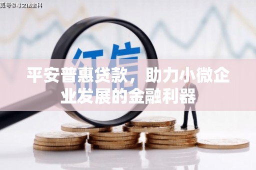 呼图壁平安普惠贷款，助力小微企业发展的金融利器