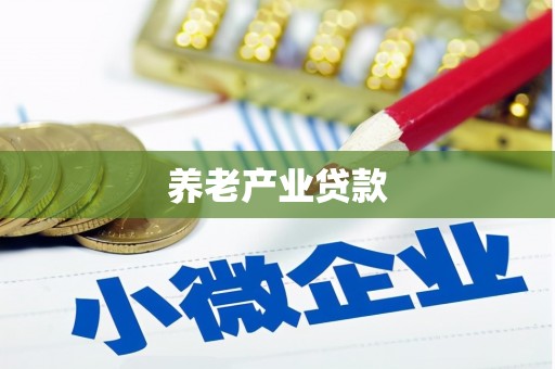 呼图壁养老产业贷款