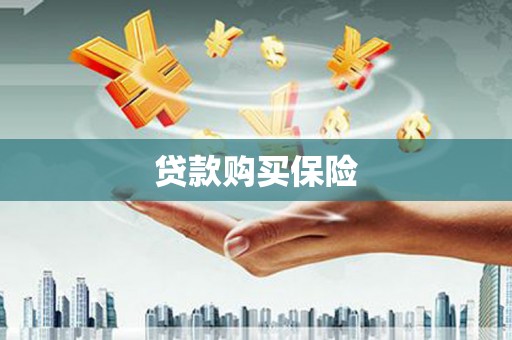 呼图壁贷款购买保险