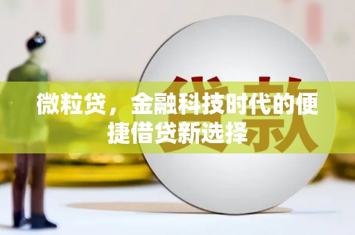 呼图壁微粒贷，金融科技时代的便捷借贷新选择