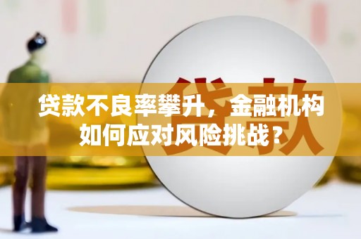 呼图壁贷款不良率攀升，金融机构如何应对风险挑战？