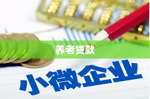 呼图壁养老贷款