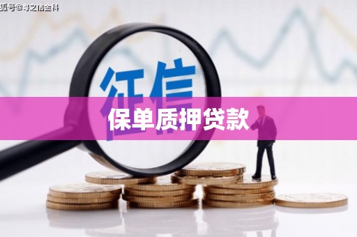 呼图壁保单质押贷款