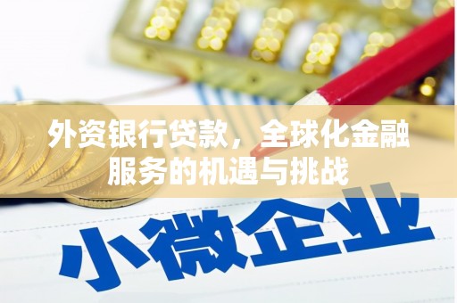 呼图壁外资银行贷款，全球化金融服务的机遇与挑战