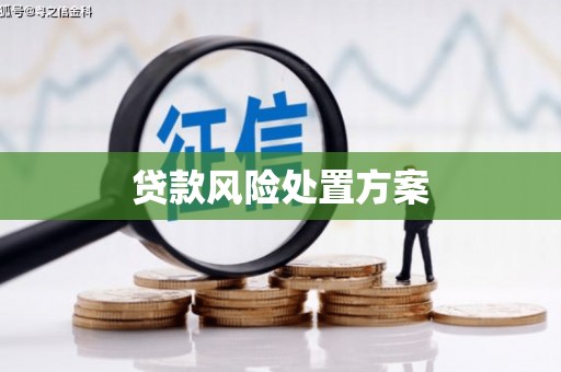 呼图壁贷款风险处置方案