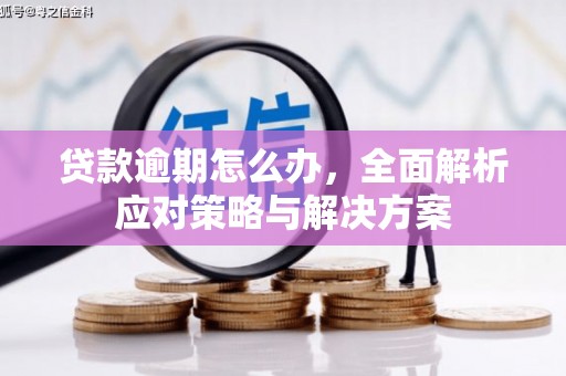 呼图壁贷款逾期怎么办，全面解析应对策略与解决方案