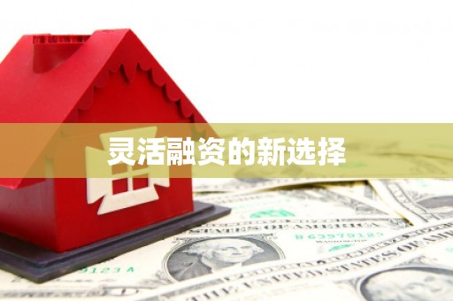 呼图壁灵活融资的新选择
