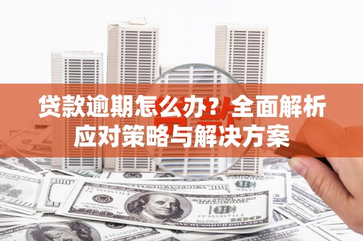 呼图壁贷款逾期怎么办？全面解析应对策略与解决方案