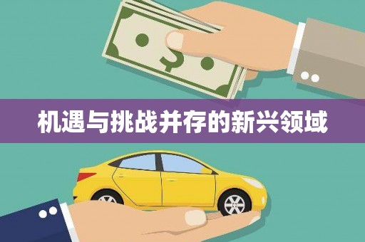 呼图壁机遇与挑战并存的新兴领域