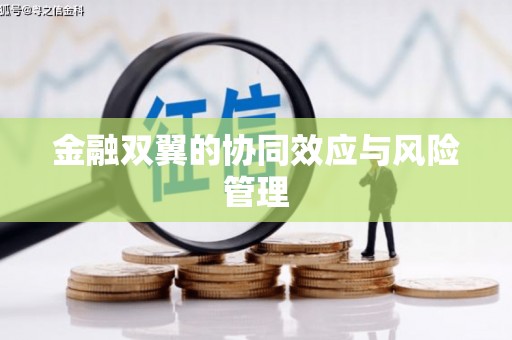 呼图壁金融双翼的协同效应与风险管理