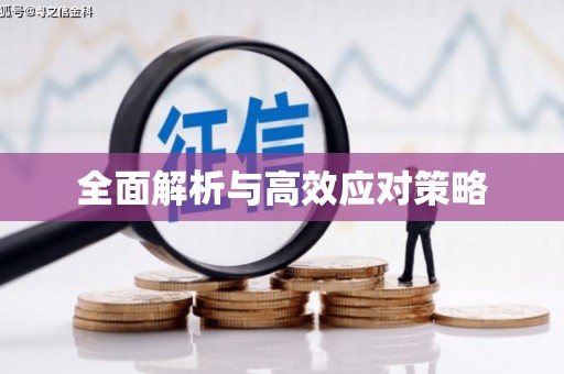 呼图壁全面解析与高效应对策略